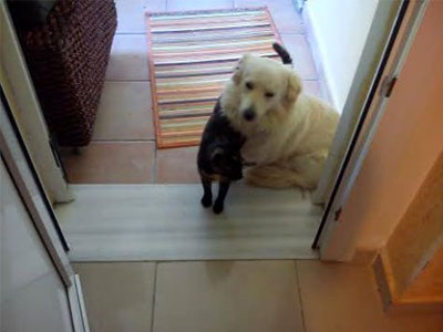 Χάθηκε ο Μπεν