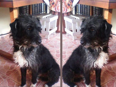 Χάθηκε στην περιοχή της Κερατέας