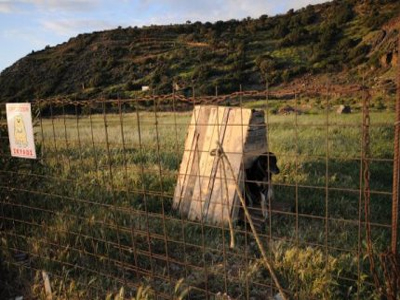 Μετά την καταγγελία… η εξαφάνιση!