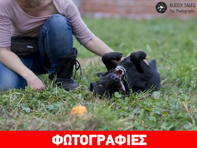 Xαρίζεται ο Μέλβιν