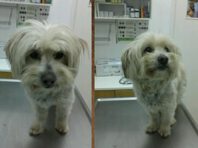 Μήπως τον γνωρίζετε;