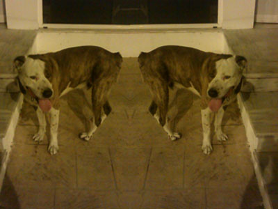 Μήπως τον χάσατε;