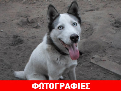 Χαρίζεται ο Δίας