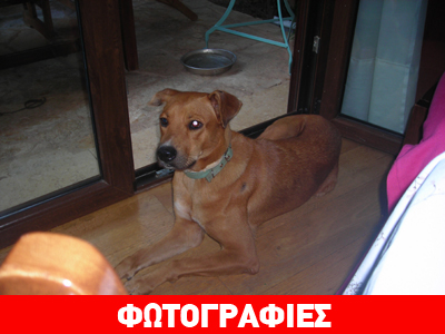 Bρέθηκε στο Πάτημα Χαλανδρίου, πάνω από τον σταθμό «Δουκ. Πλακεντίας»