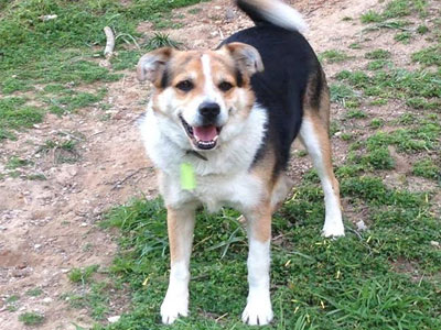 Μήπως είδατε τον Πλούταρχο;