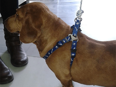 Μήπως το έχετε χάσει;