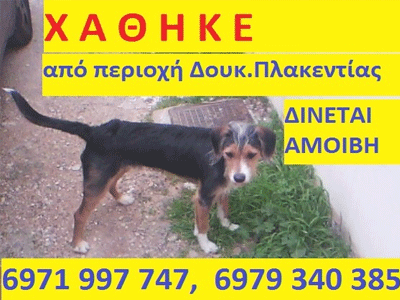 Χάθηκε στην περιοχή της Δουκίσσης Πλακεντίας