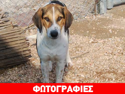 Η Bella… για τα μάτια σας μόνο!