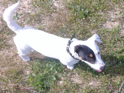 Βρέθηκε ο Όσκαρ