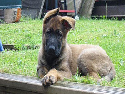 «Έπεσε» την ώρα του καθήκοντος