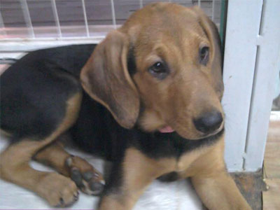 Η Kiara αναζητά μια αγκαλιά!