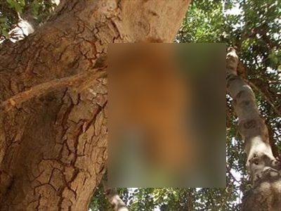 Απίστευτη κτηνωδία στα Χανιά Κρήτης