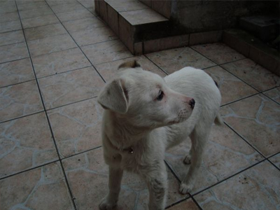 Ζητείται αγκαλιά!