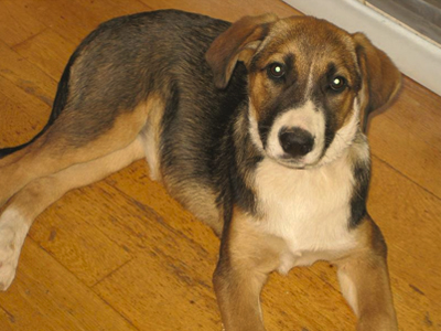 Ζητούν μια ζεστή αγκαλιά