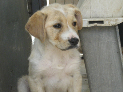 Ζητά μια ζεστή αγκαλιά