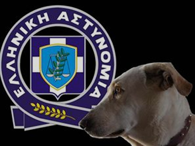 Κρήτη: 47 συλλήψεις για αδικήματα κατά ζώων τον Αύγουστο