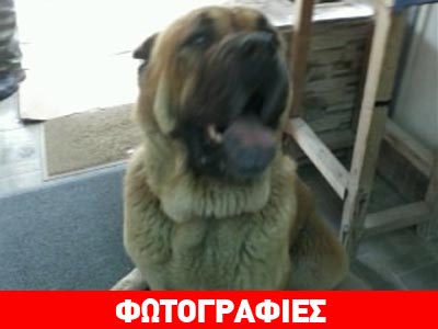 Χαρίζεται η Ήρα