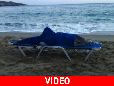 Ρέθυμνο: Κρητικοί έσωσαν δελφίνι!