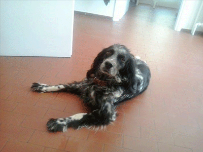 Βρέθηκε η Δόμνα