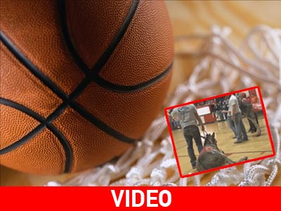 Η.Π.Α.: Γάιδαροι στην υπηρεσία της Καλαθοσφαίρισης