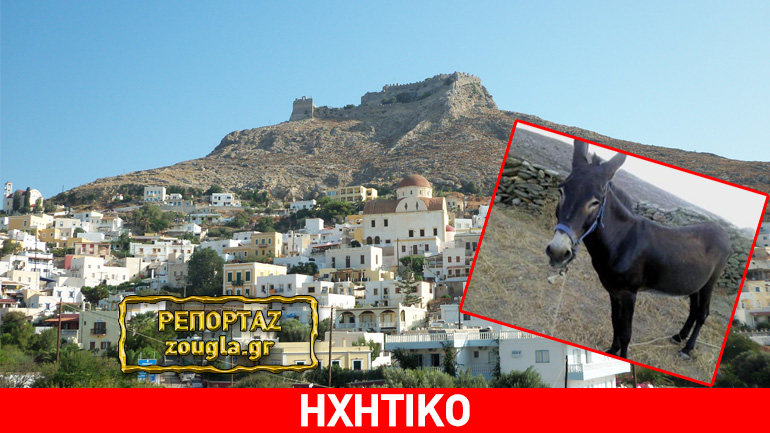 Λέρος: Προσεχώς… αριθμός κυκλοφορίας στα γαϊδούρια!