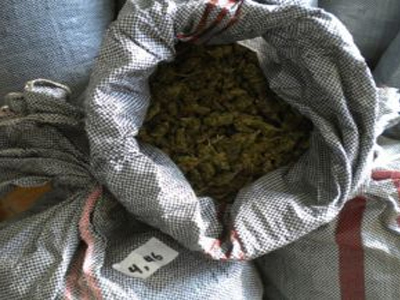 Έκρυβε ναρκωτικά στο σπίτι του