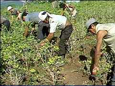 Έξαρση εγκληματικότητας στην Κολομβία το 2010