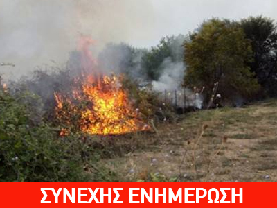 ΤΩΡΑ: Φωτιά στην Άνω Γλυφάδα