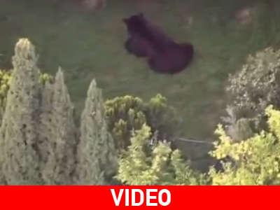 Βόλτα στην Καλιφόρνια