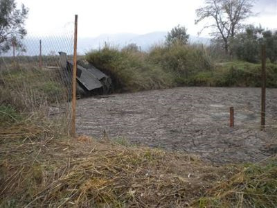Διαβουλεύσεις για τα απόβλητα των ελαιοτριβείων στη Λαμία