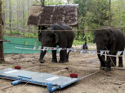 Ενώνουν τις δυνάμεις τους για το κοινό καλό