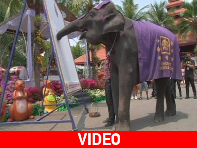 Γιόρτασαν την ημέρα του ελέφαντα