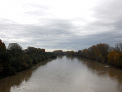 Νεκρός ψαράς στον Έβρο