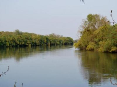 Εντοπισμός πτώματος στον Έβρο