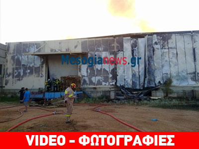 Εικόνες από την καμένη αποθήκη στο Κορωπί