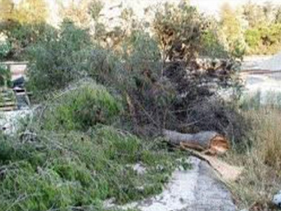 Δεν πίστευαν στα μάτια τους