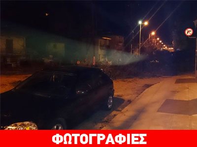 Πτώσεις δέντρων στα Ιωάννινα