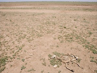 Σήμερα η κρίσιμη σύνοδος για τη Σομαλία