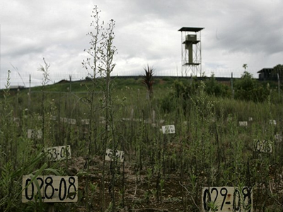 Κολομβία: Επίθεση μελών της Farc σε ραντάρ – Ένας νεκρός