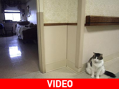 Κάηκαν ζωντανοί ηλικιωμένοι στην Αυστραλία