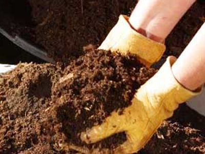 Ε.Ε.: Της στοιχίζει ο κούκος…αηδόνι