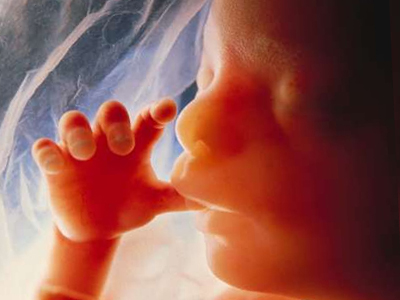Διαβουλεύσεις για τα δικαιώματα των εμβρύων από τη στιγμή της σύλληψης