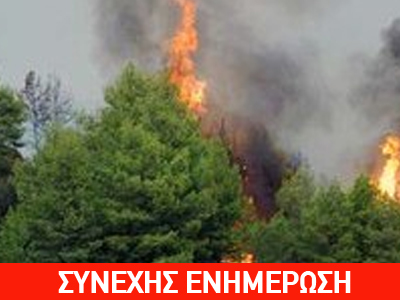 Πυρκαγιά σε δασική έκταση στα Ιωάννινα