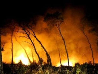 Πυρκαγιά στην Αγία Πελαγία Κρήτης