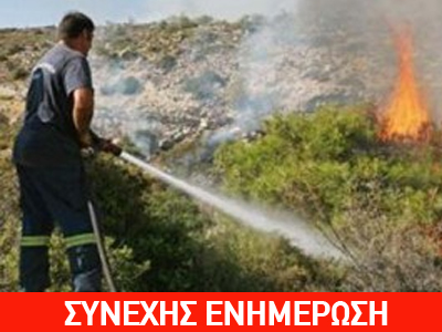 Σε εξέλιξη φωτιά στην Καστρίτσα Ιωαννίνων