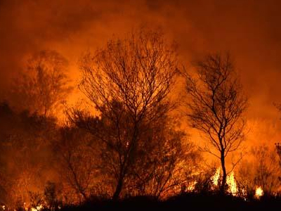 Σε εξέλιξη τρεις πυρκαγιές στο Λασίθι