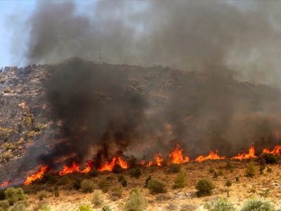 Οι δασικές πυρκαγιές στο επίκεντρο διαβούλευσης