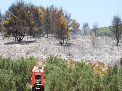 Αγώνας δρόμου στη Ζάκυνθο για την αποφυγή πυρκαγιών