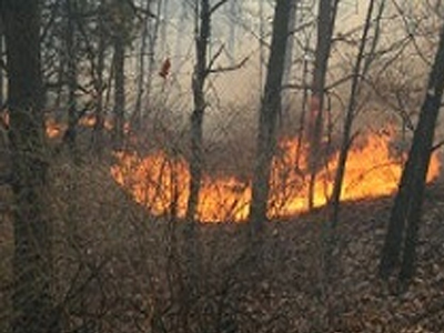 Μεγάλος ο κίνδυνος εκδήλωσης πυρκαγιάς στην Κρήτη