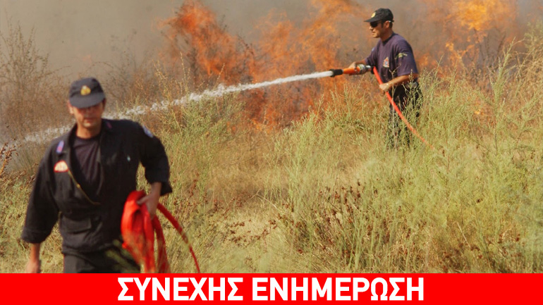 Φωτιά πλησίον των διοδίων στις Αφίδνες